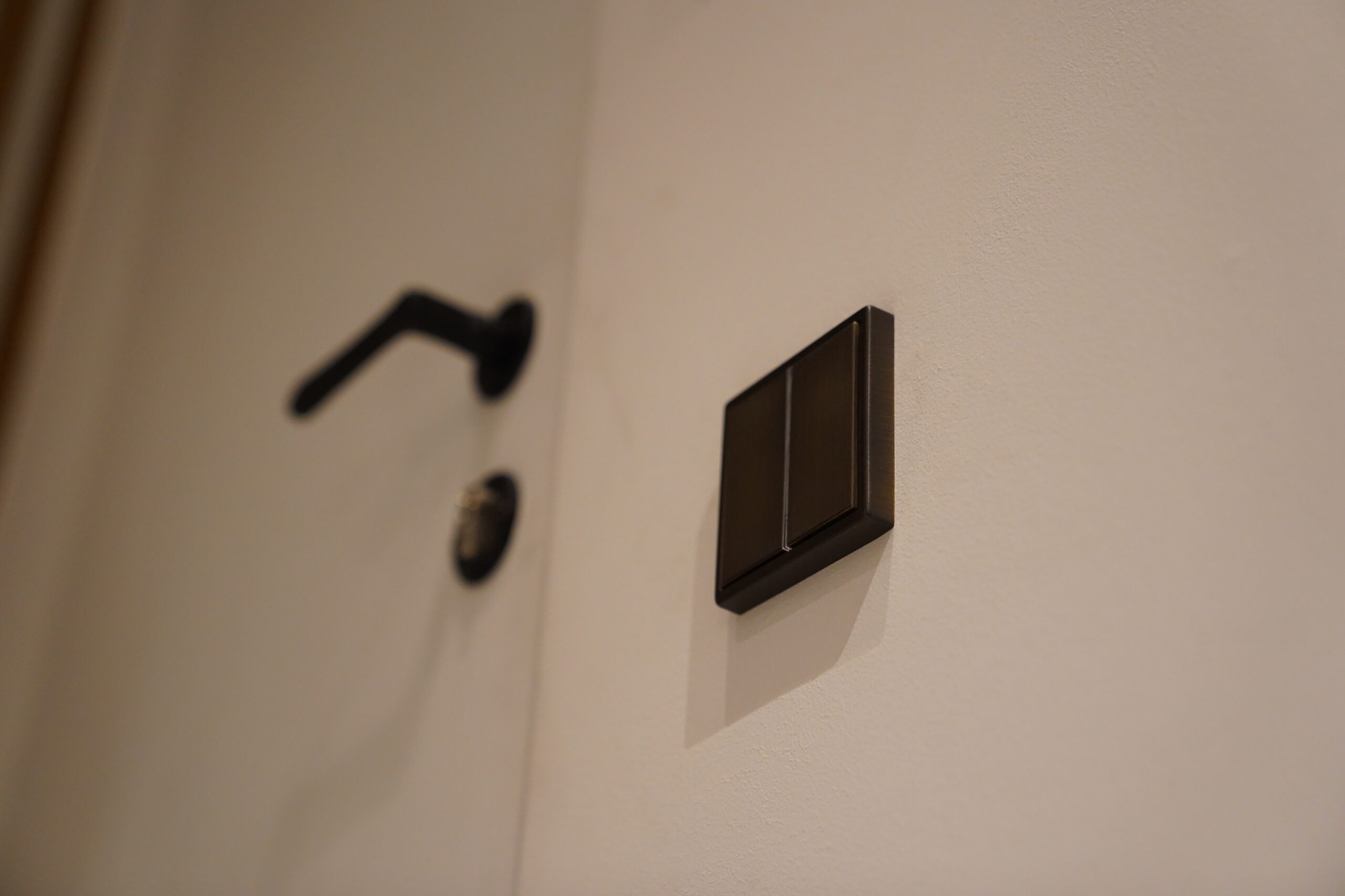 Bioléléectricité et environnement sain, avec la domotique résidentielle