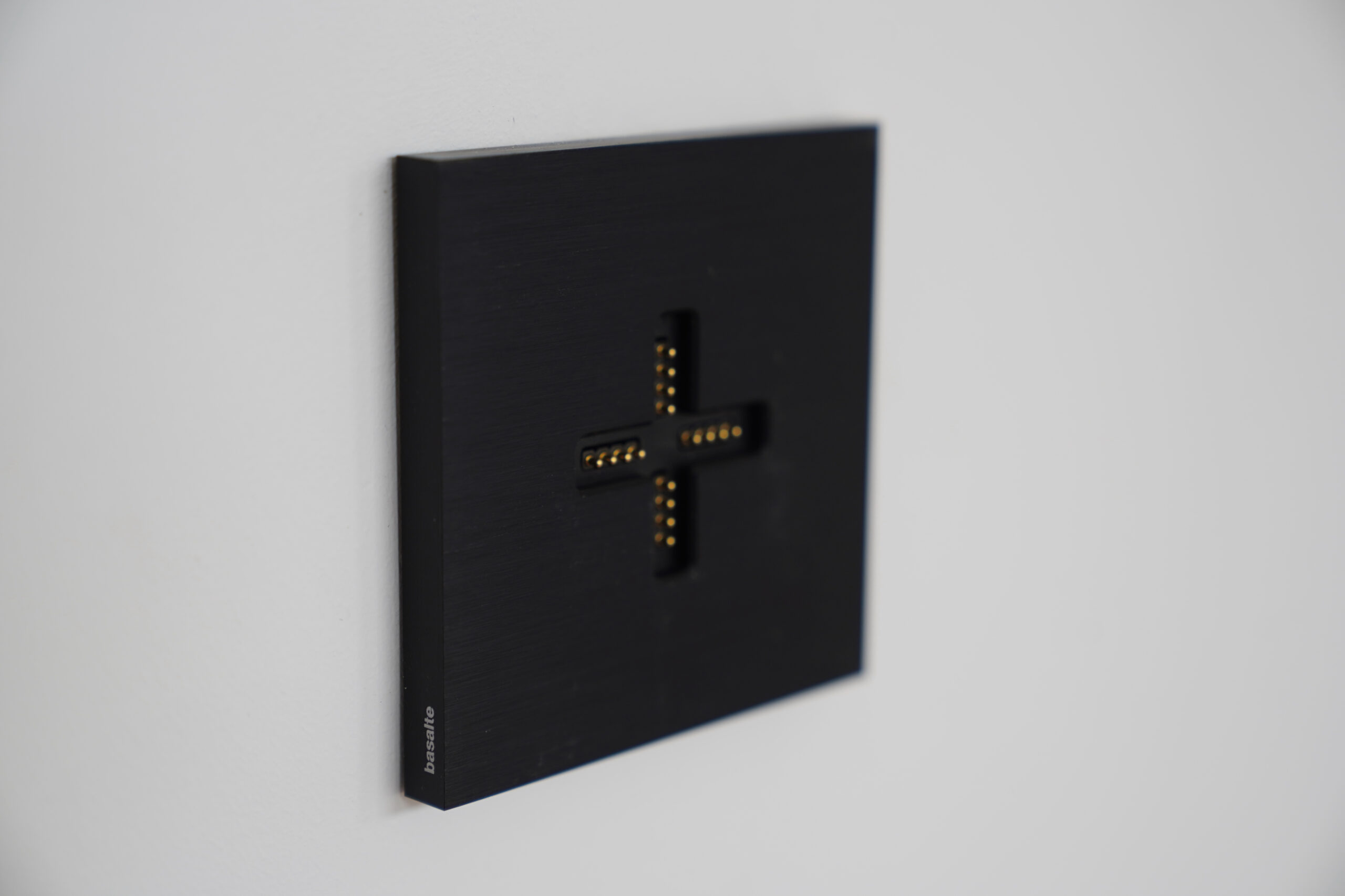 Bioéléctricité et domotique résidentielle